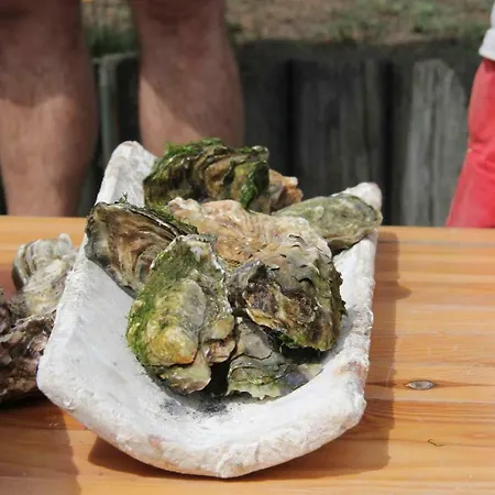 Les Pieds Dans L'eau Lägenhet