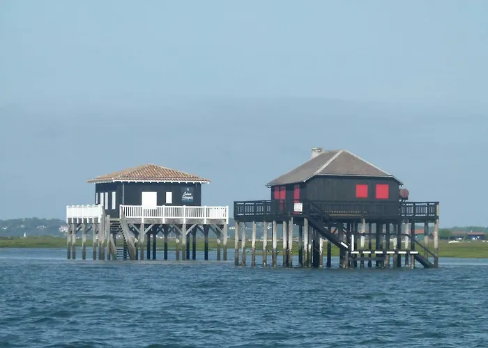 Les Pieds Dans L'eau Daire