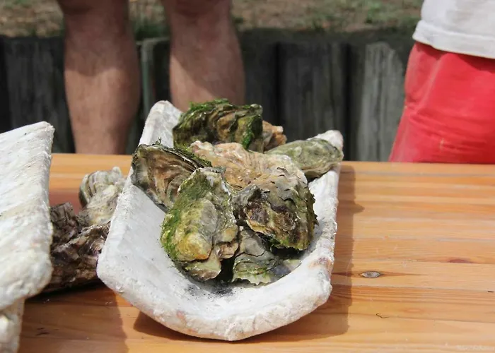 Les Pieds Dans L'eau Daire